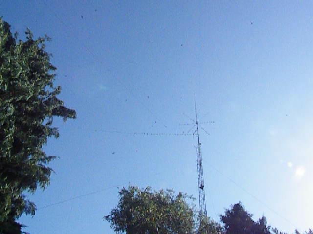 Vogels op antenne